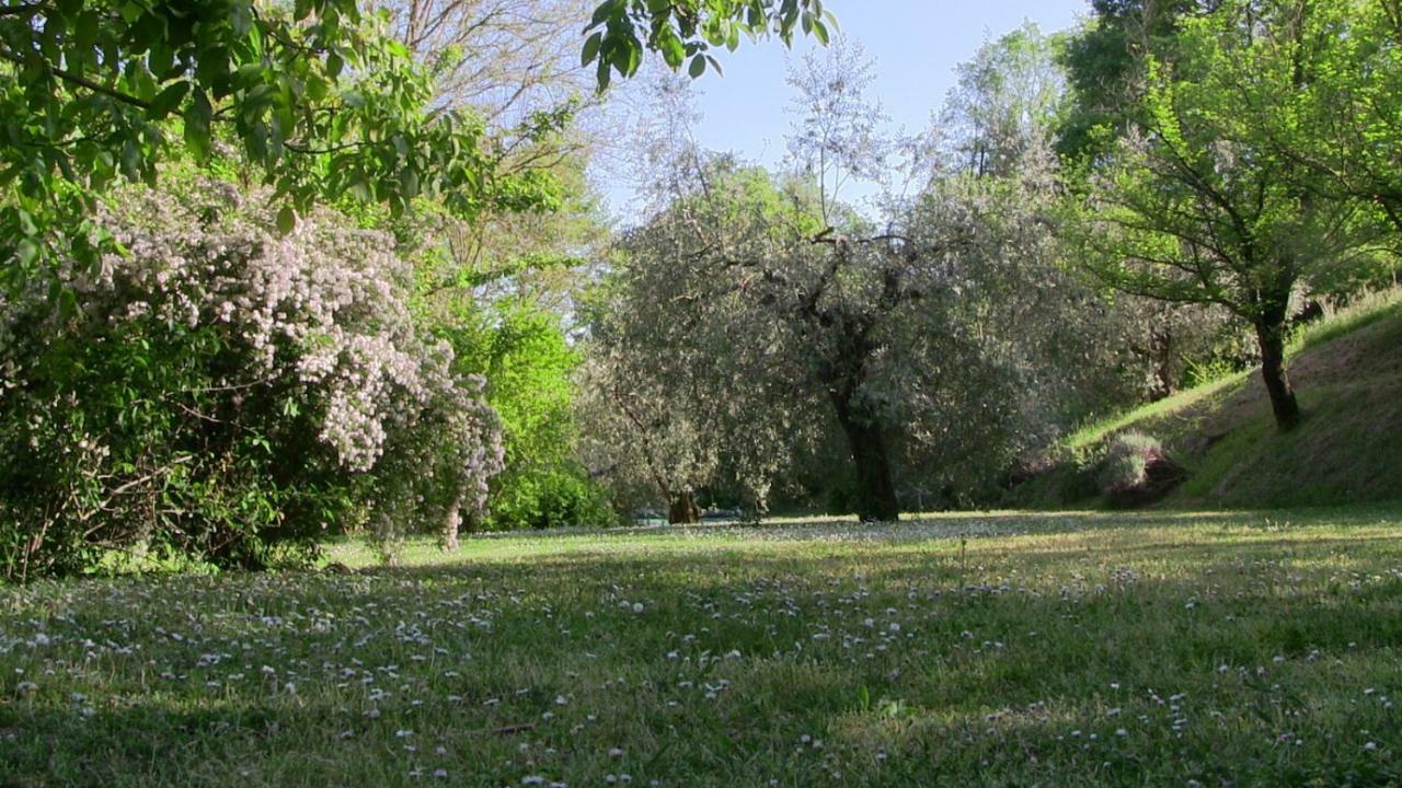 Agriturismo Frallarenza Ficulle Exterior photo
