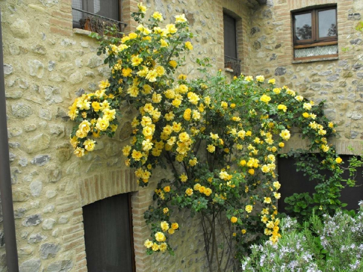 Agriturismo Frallarenza Ficulle Exterior photo